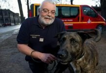 Des chiens renifleurs pour le dépistage de patients porteurs du COVID-19 ?